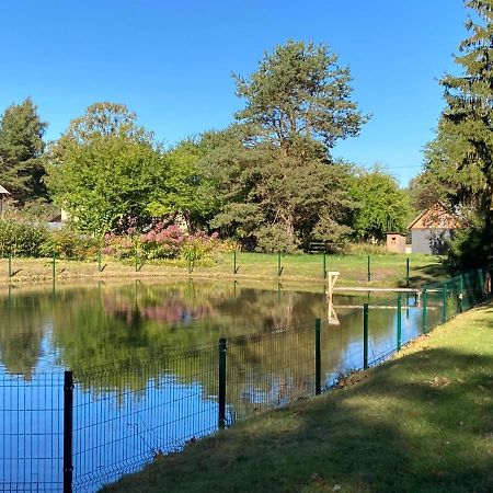 Luci Juras Apartamenti 2 Роя Екстер'єр фото